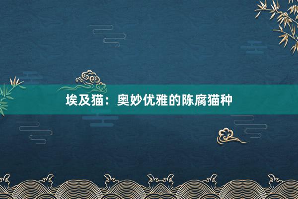 埃及猫：奥妙优雅的陈腐猫种